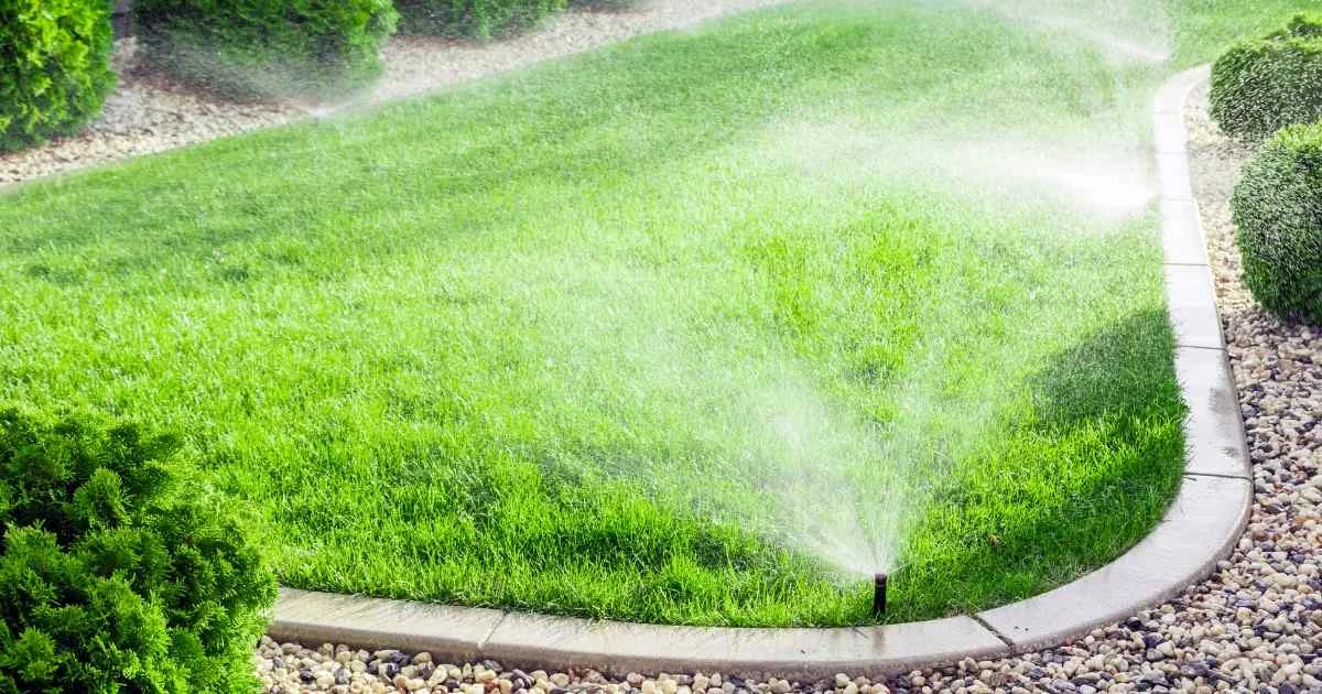 Sprinkler system watering a lush green lawn surrounded by stone edging and neatly trimmed bushes.